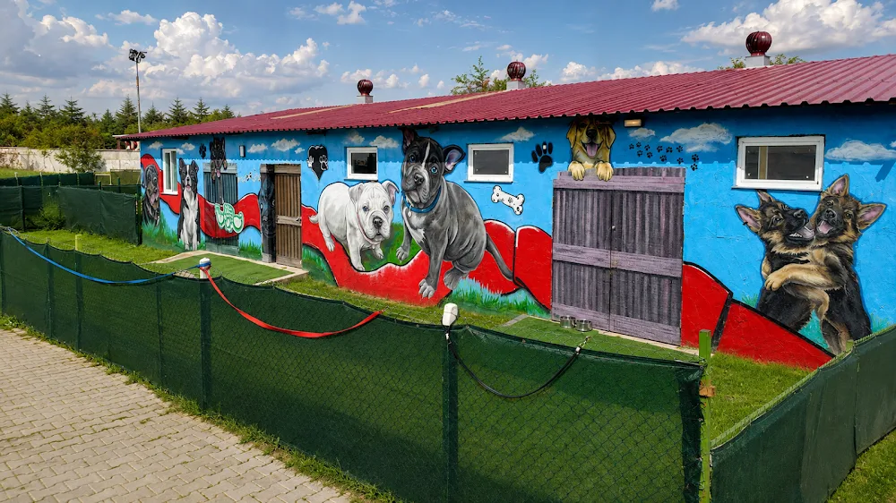 Twins Dog Academy Köpek Oteli ve Eğitim Merkezi - Ankara pet otel görseli 3