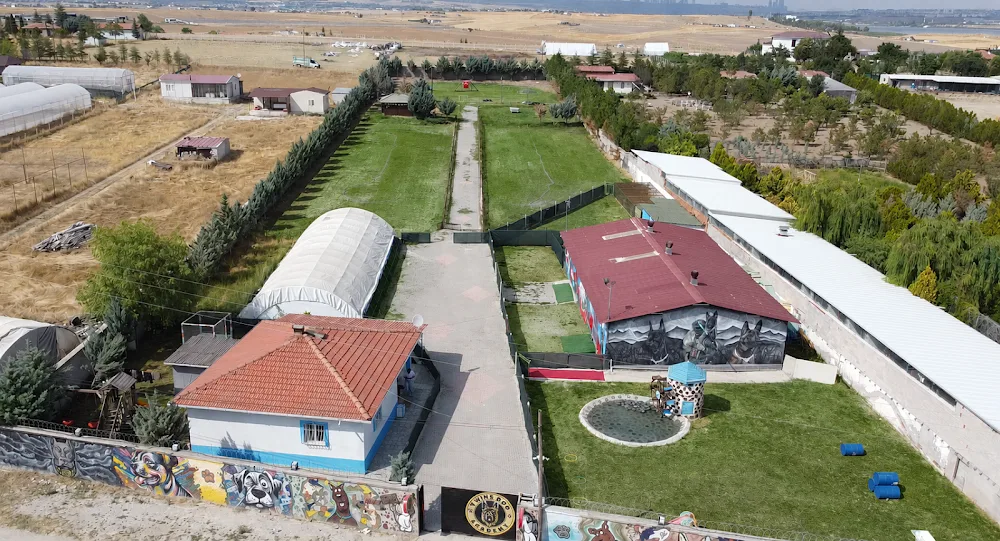 Twins Dog Academy Köpek Oteli ve Eğitim Merkezi - Ankara pet otel görseli 6