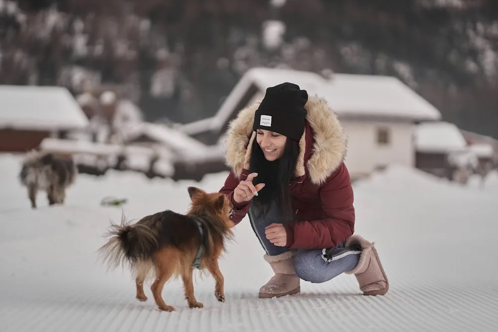 Hundebetreuung Diamand - Tyrol pet otel görseli 2