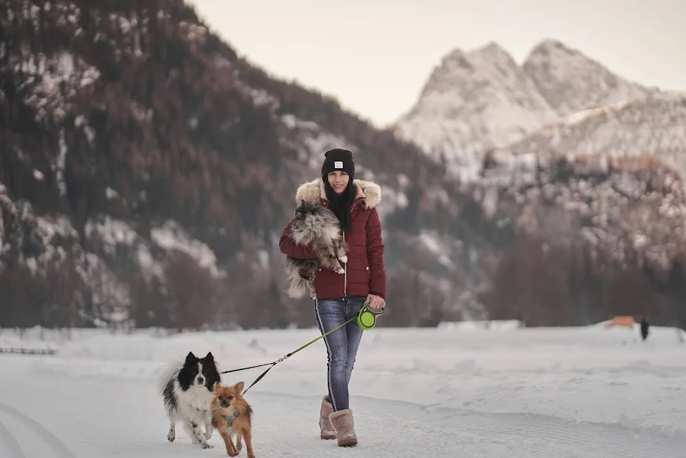 Hundebetreuung Diamand - Tyrol pet otel görseli 3