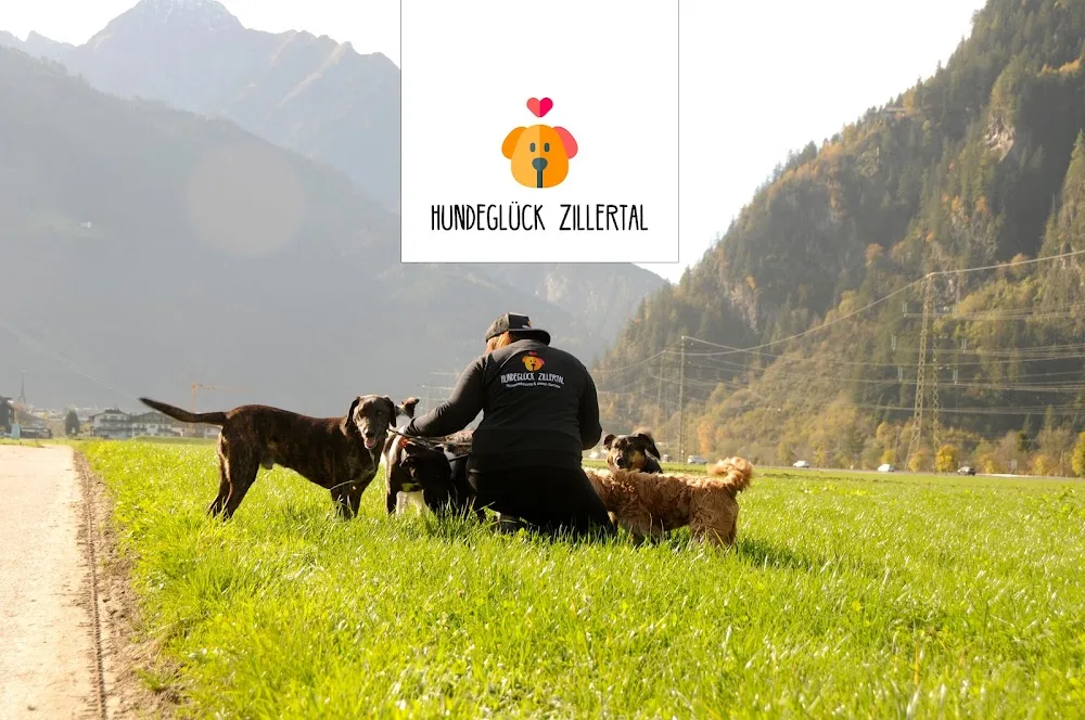 Hundeglück Zillertal - Tyrol pet otel görseli 2