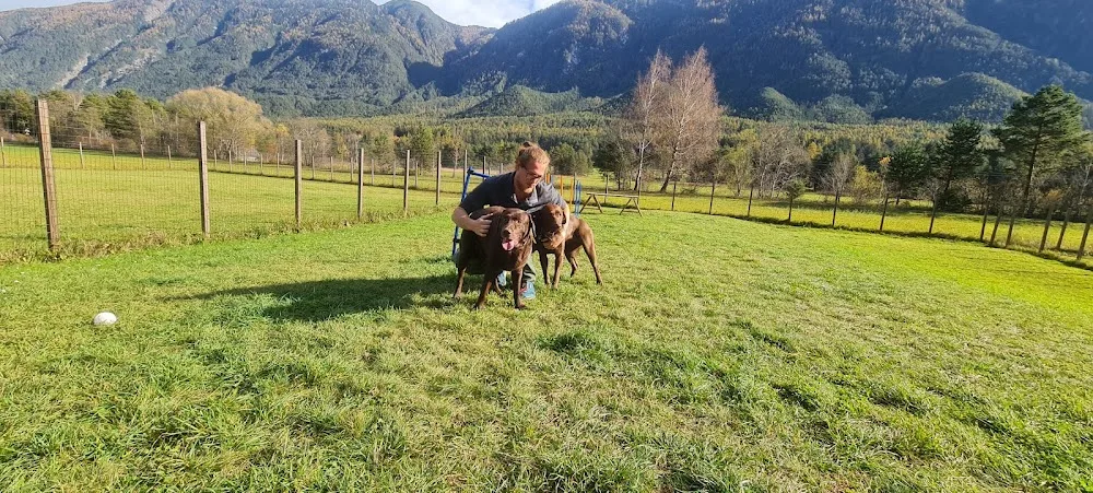 HZO Hundezentrum Oberland - Tyrol pet otel görseli 2