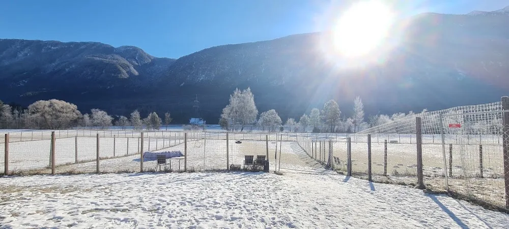 HZO Hundezentrum Oberland - Tyrol pet otel görseli 5