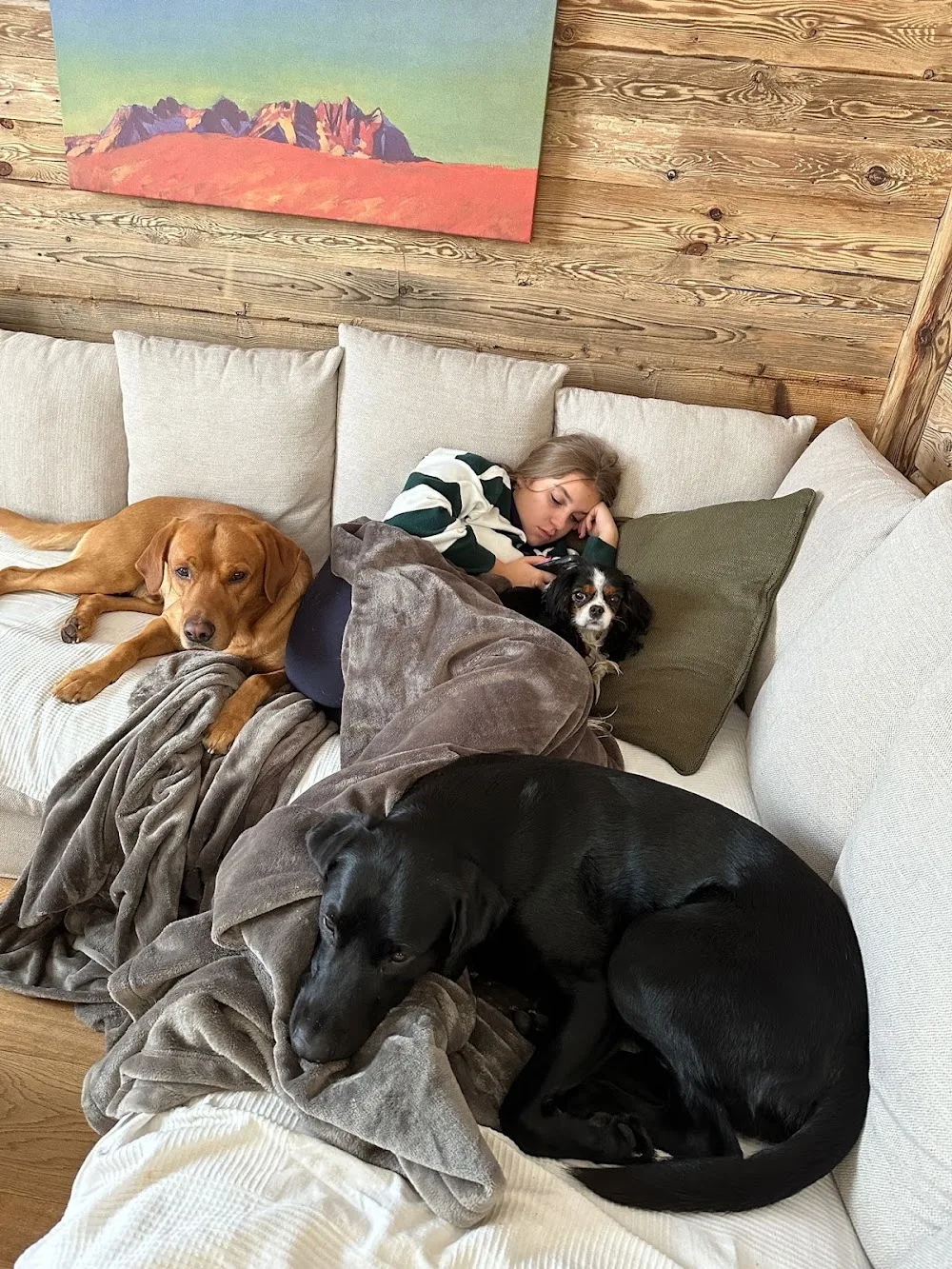 KB DOGS Hundebetreuung - Tyrol pet otel görseli 3