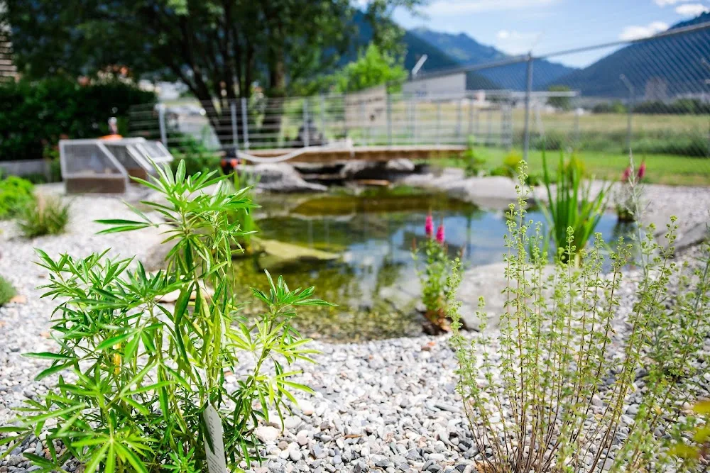 Tierheim + Tierhotel Arche - Tyrol pet otel görseli 3