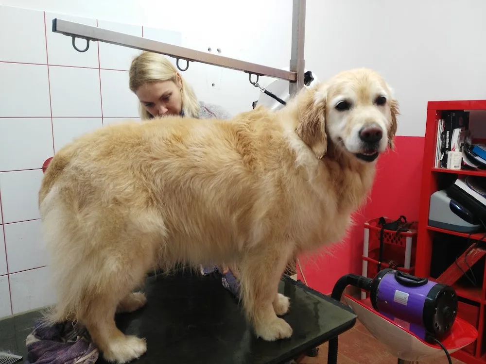 Canis Majoris Srl - Udine pet otel
