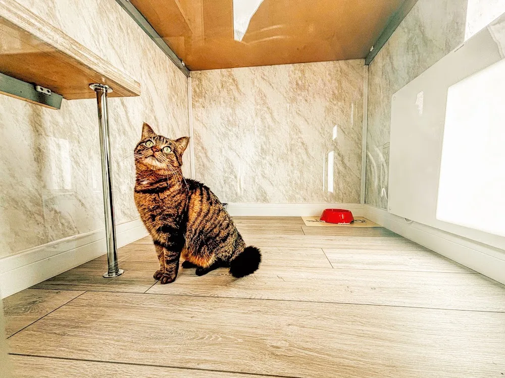 Alley Kat Hotel - Ulster pet otel