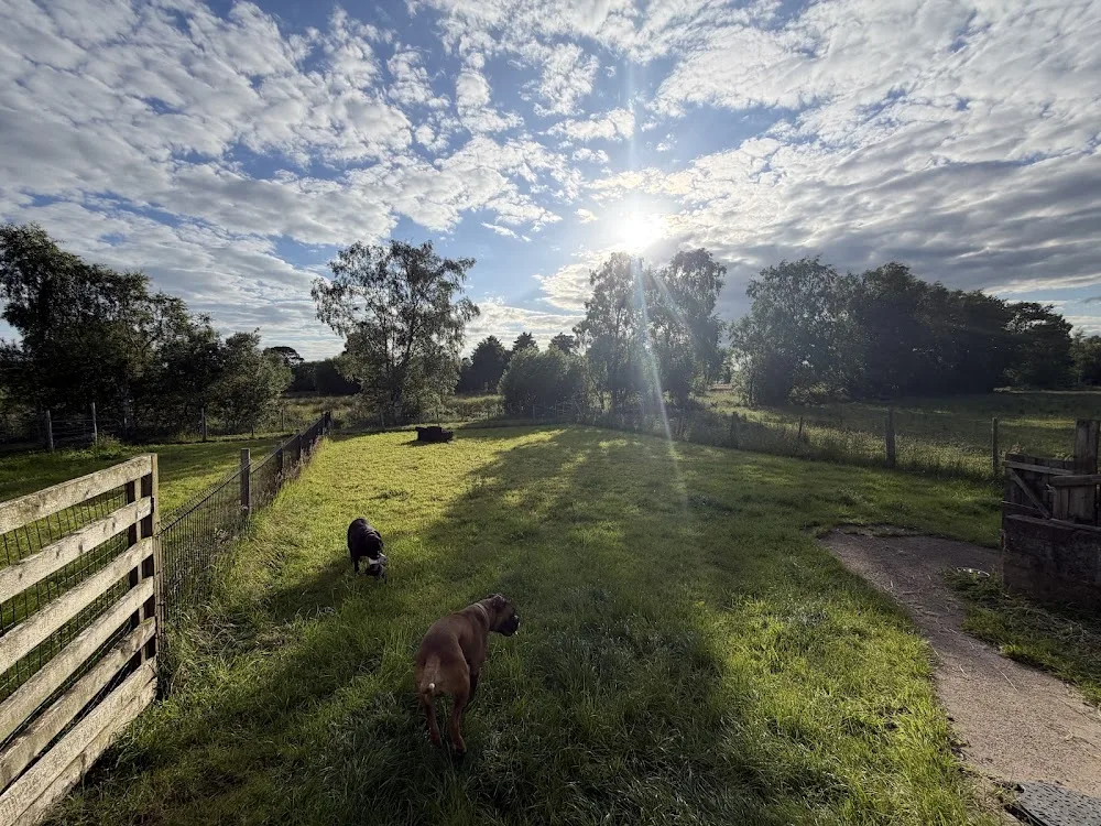 Annaghbeg boarding kennels - Ulster pet otel