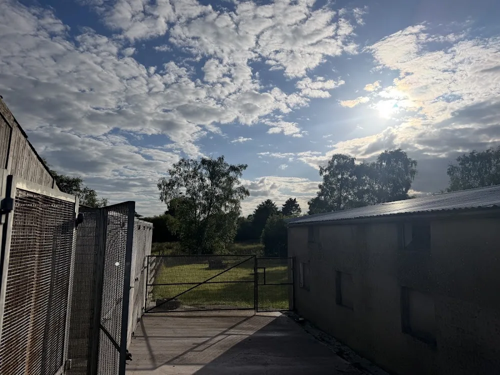 Annaghbeg boarding kennels - Ulster pet otel görseli 3
