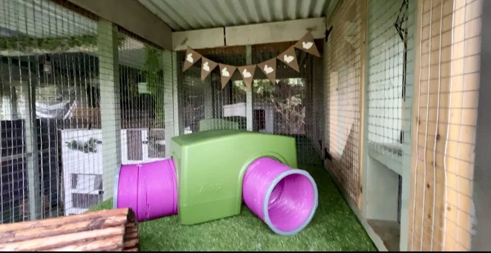 Ballinderry Boarding Small Animal Retreat - Ulster pet otel görseli 3