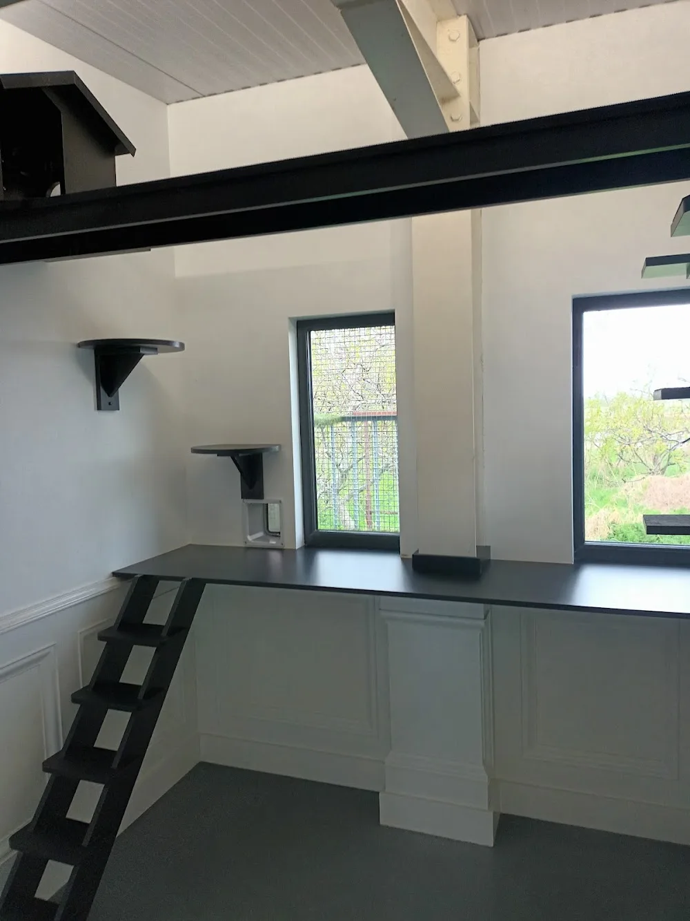 Barnn Cat Hotel - Ulster pet otel görseli 3