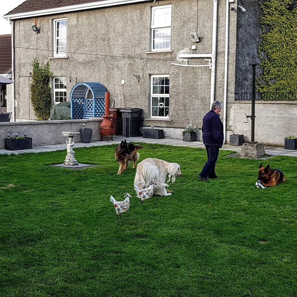 Bed & Biscuit Dog Boarding Kennels - Ulster pet otel