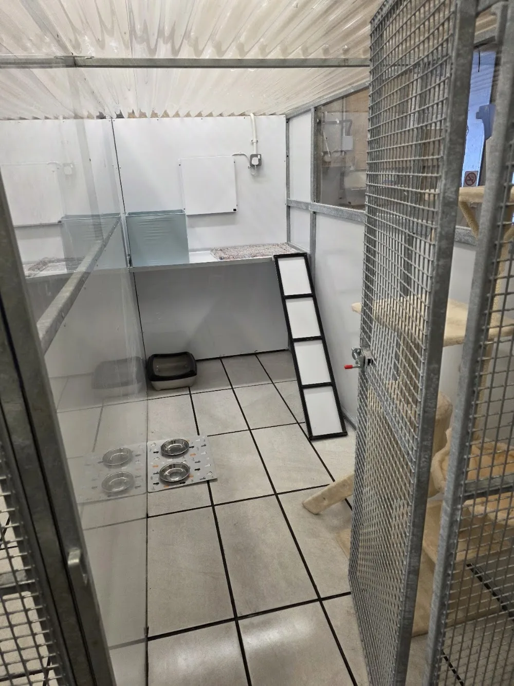 Carrickmannon Cattery - Ulster pet otel