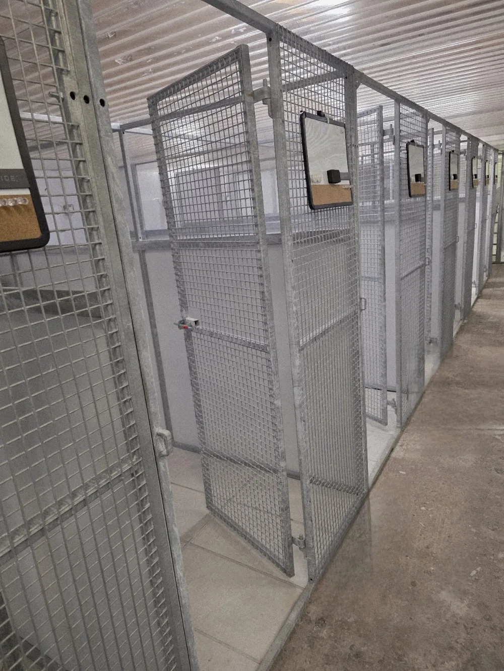 Carrickmannon Cattery - Ulster pet otel görseli 3