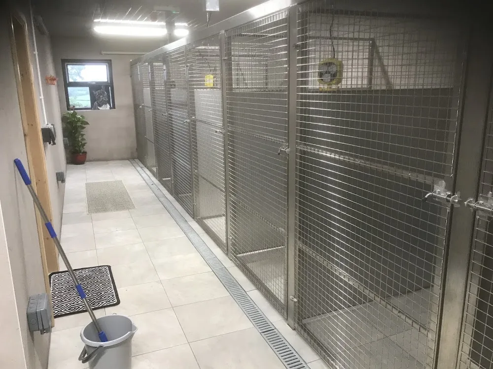 Elite Pets Omagh - Ulster pet otel