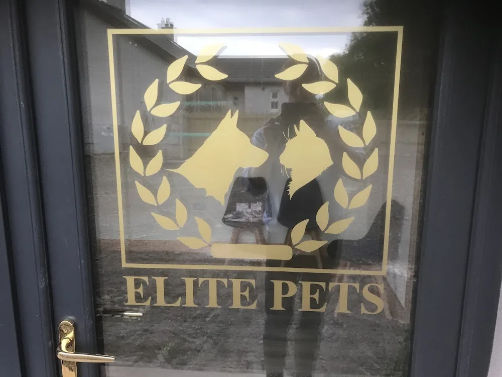 Elite Pets Omagh - Ulster pet otel görseli 3