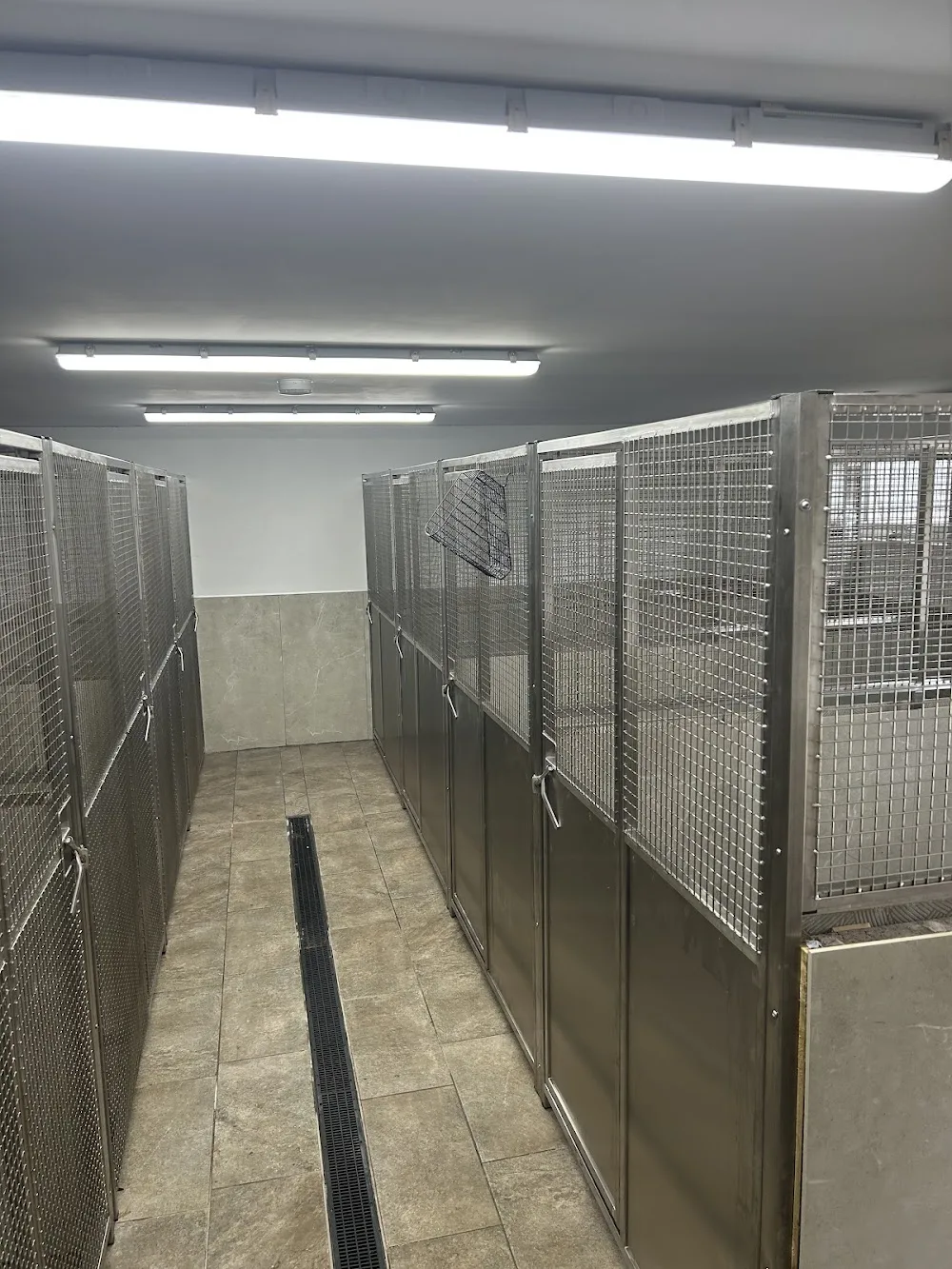 Glencairn Kennels - Ulster pet otel görseli 2