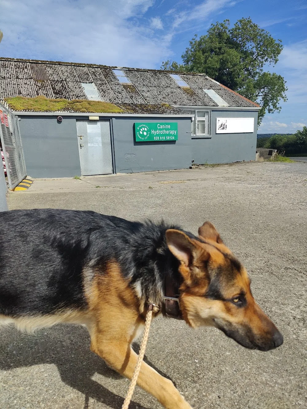 Greenacres Kennels & Cattery - Ulster pet otel görseli 3
