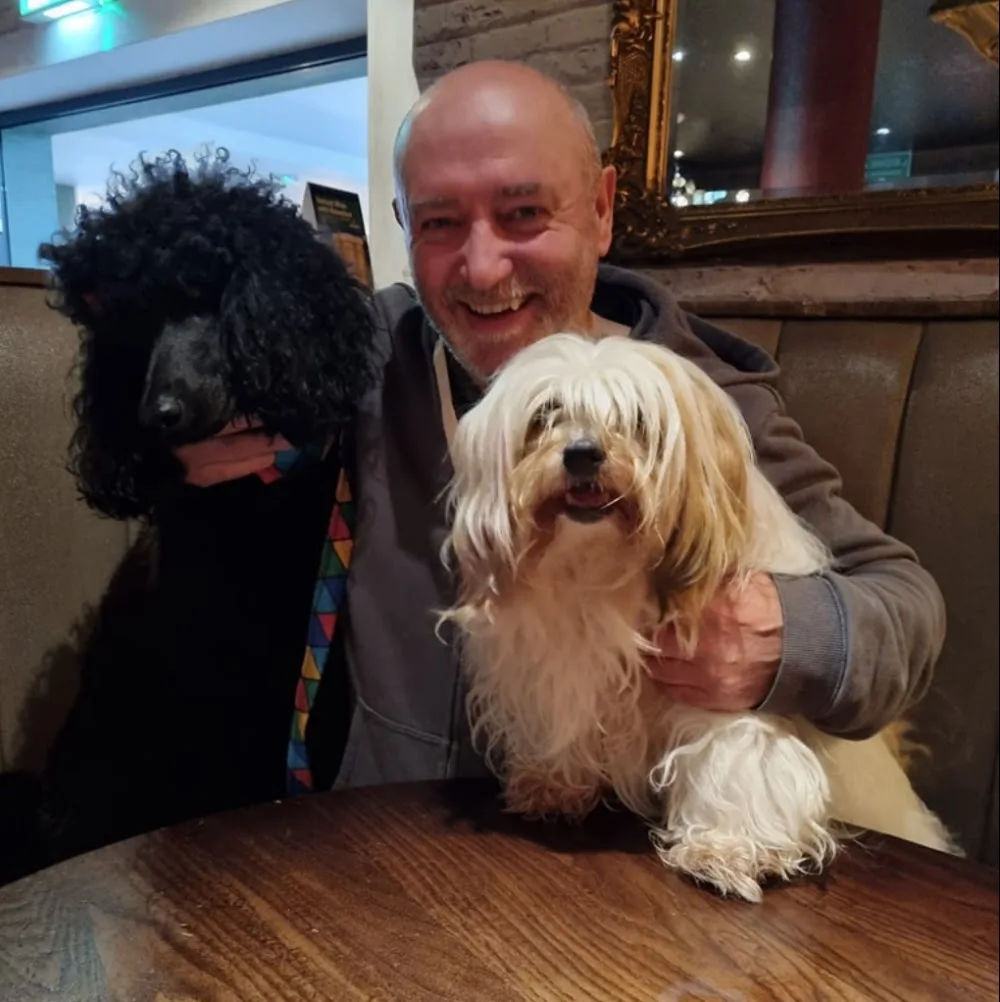 Hillside Kennels, Grooming and Cattery Newtownabbey - Ulster pet otel görseli 3