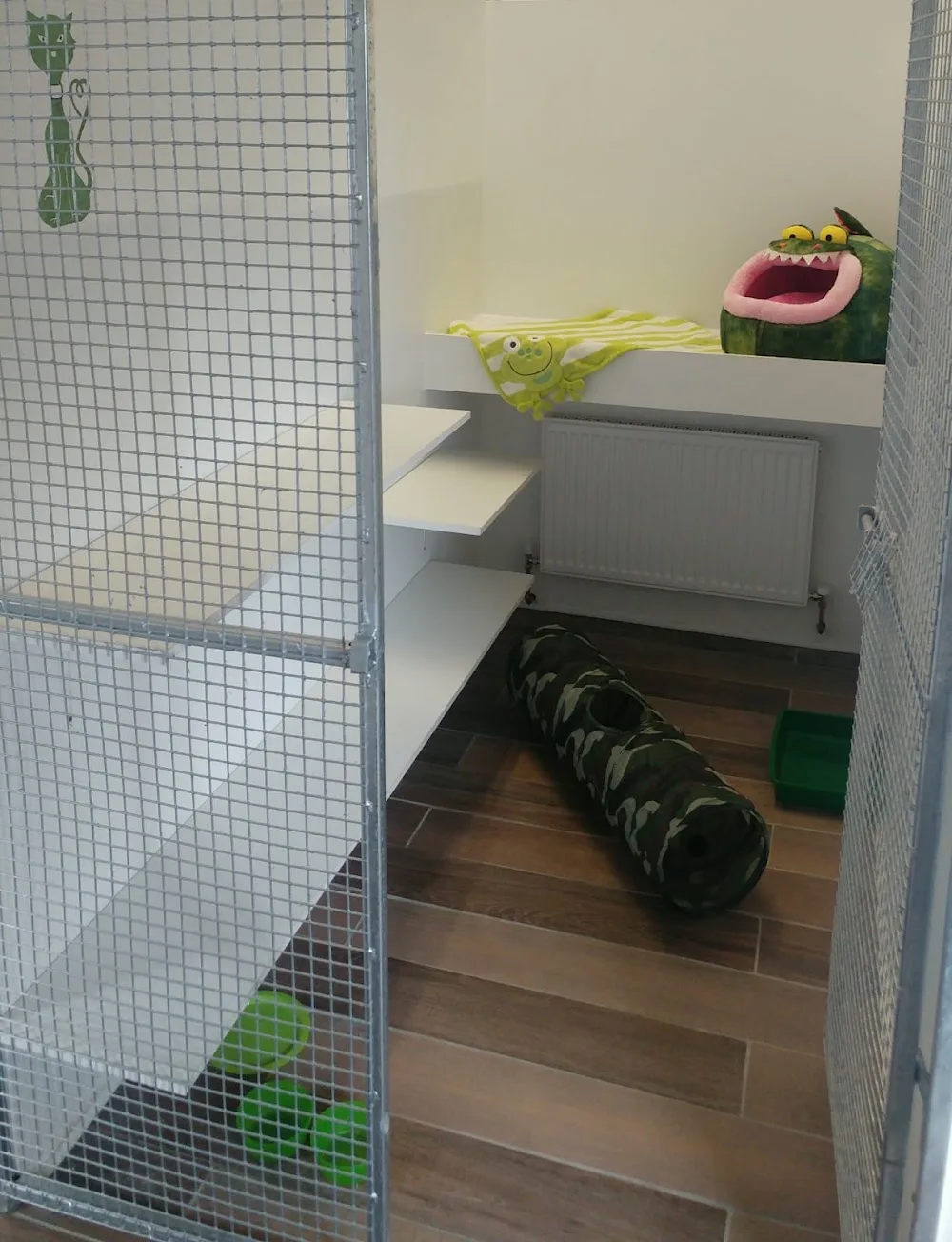 Kilwaughter Cattery - Ulster pet otel görseli 3