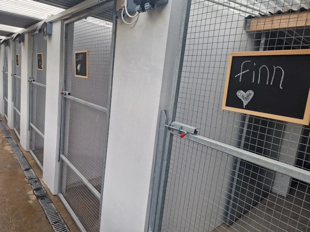 Lucky pup kennels and cattery - Ulster pet otel görseli 3