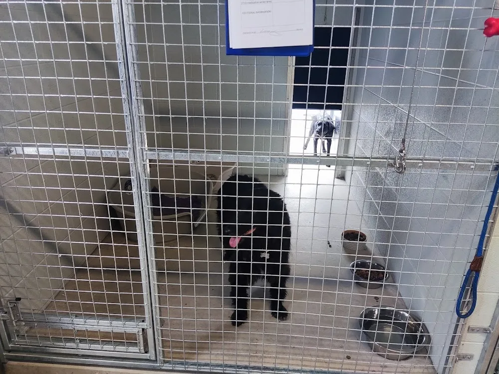 Peatlands Boarding Kennels - Ulster pet otel görseli 2