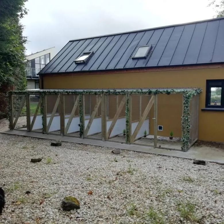 The Purrlington Cat Hotel - Ulster pet otel