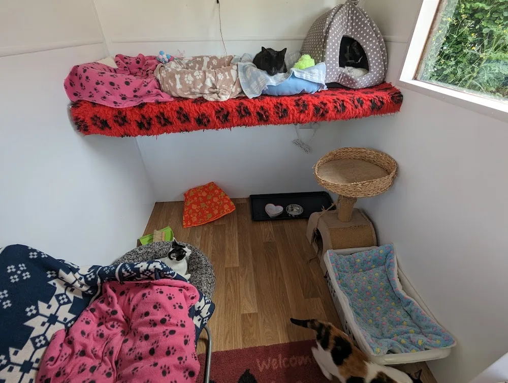 The Stables Cattery Aldergrove - Ulster pet otel görseli 3