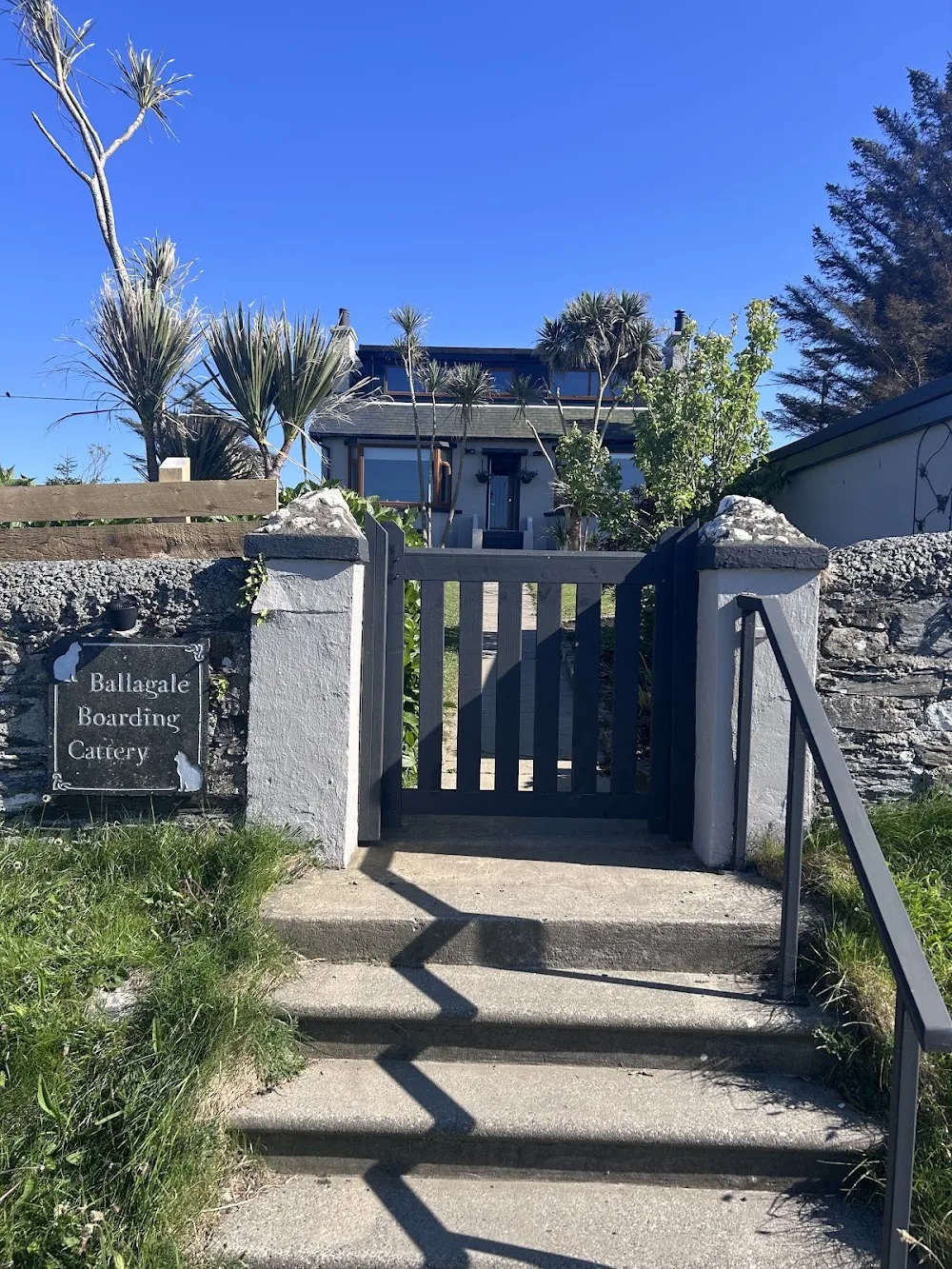 Ballagale Boarding Cattery - United Kingdom pet otel görseli 2