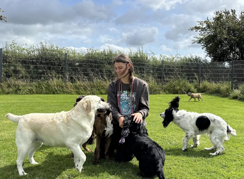 Grays Kennels - United Kingdom pet otel görseli 3