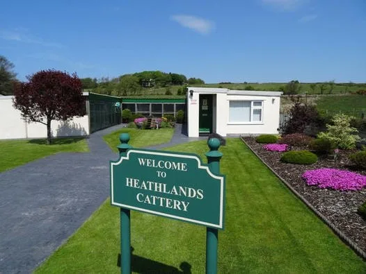 Heathlands Cattery - United Kingdom pet otel görseli 2