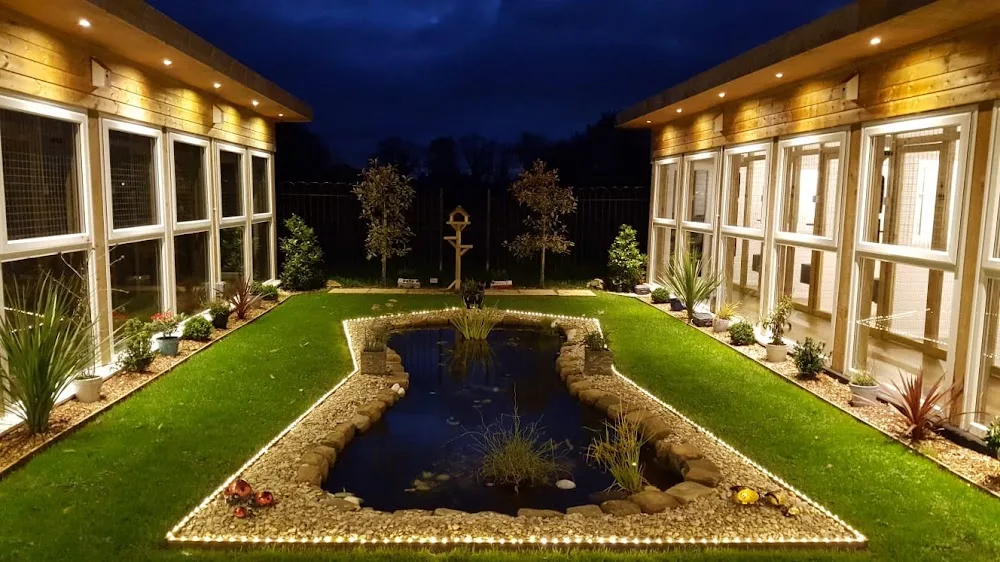 The Paddocks - Luxury Cat Hotel - United Kingdom pet otel görseli 3