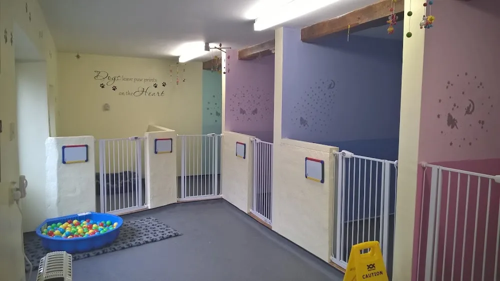 Tutehill Farm Kennels & Cattery - United Kingdom pet otel görseli 2