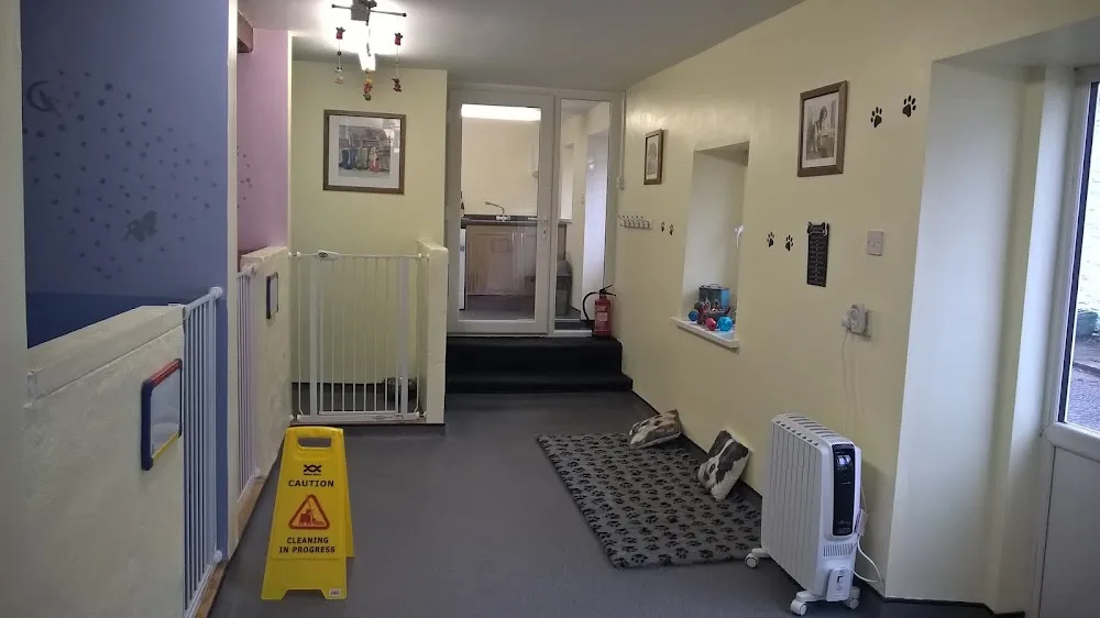 Tutehill Farm Kennels & Cattery - United Kingdom pet otel görseli 3