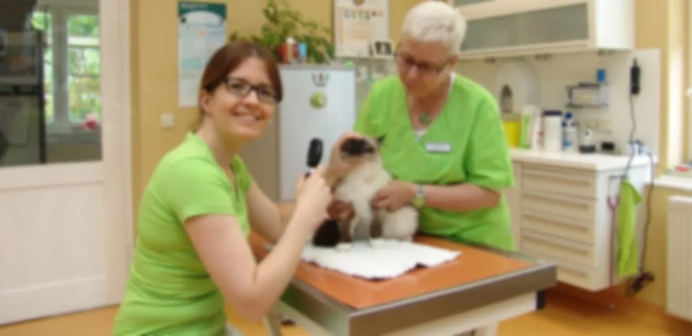 Kleintierpraxis & Tierpension Dr. med. vet. Anke Horn - Unterwellenborn pet otel görseli 2