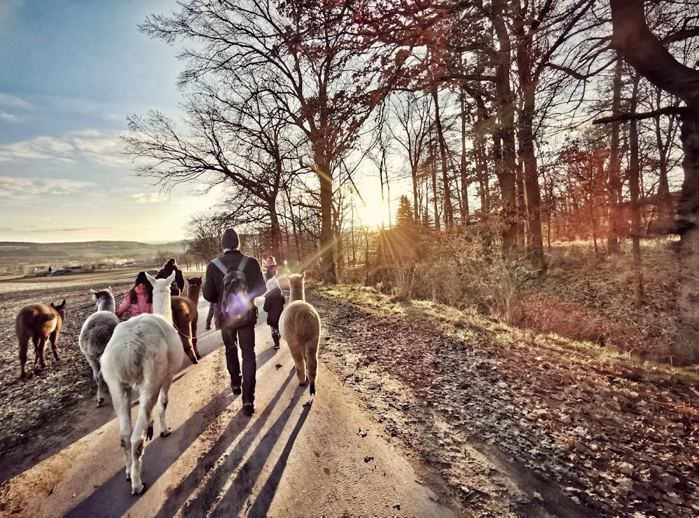 tierisch ER leben - Lamas und Alpakas vom Althof - Unterwellenborn pet otel görseli 2