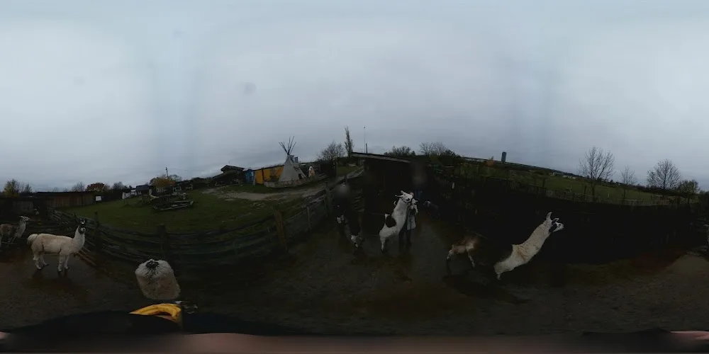 Circle-C-Erlebnisranch - Upper Austria pet otel görseli 3