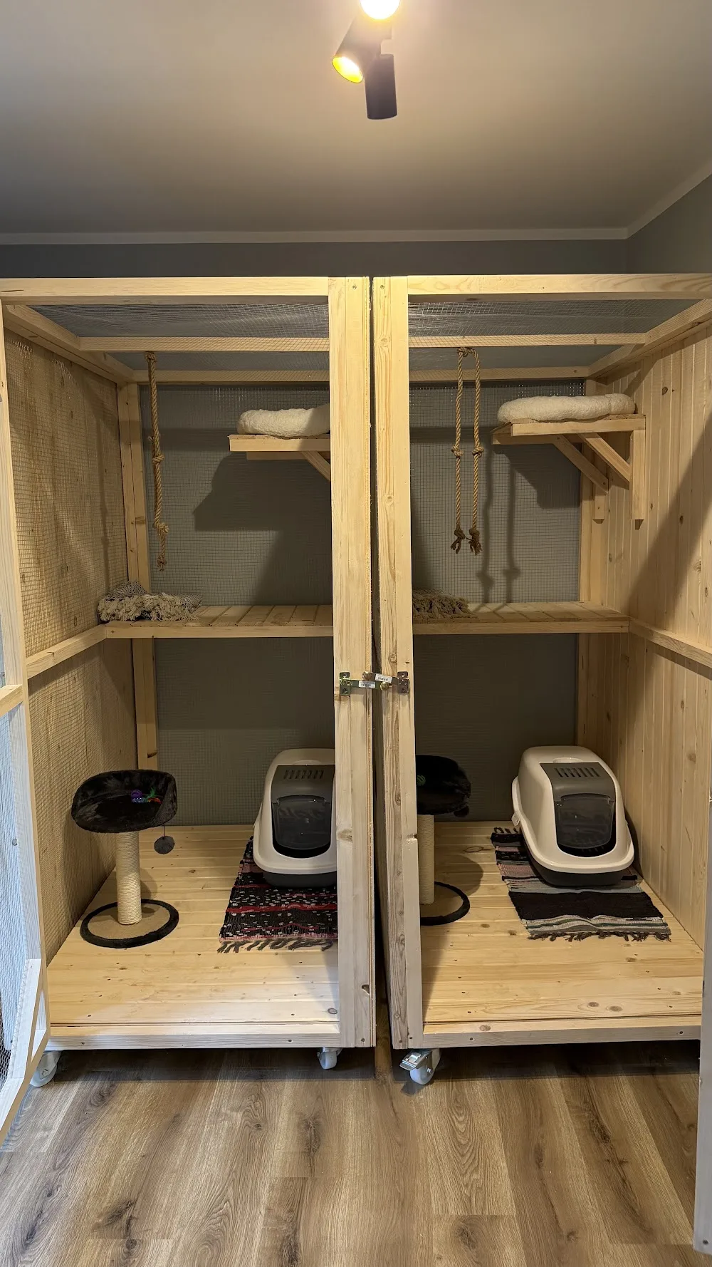 Hotelik dla kotów Karmelek i małych zwierząt. - Upper Silesia pet otel