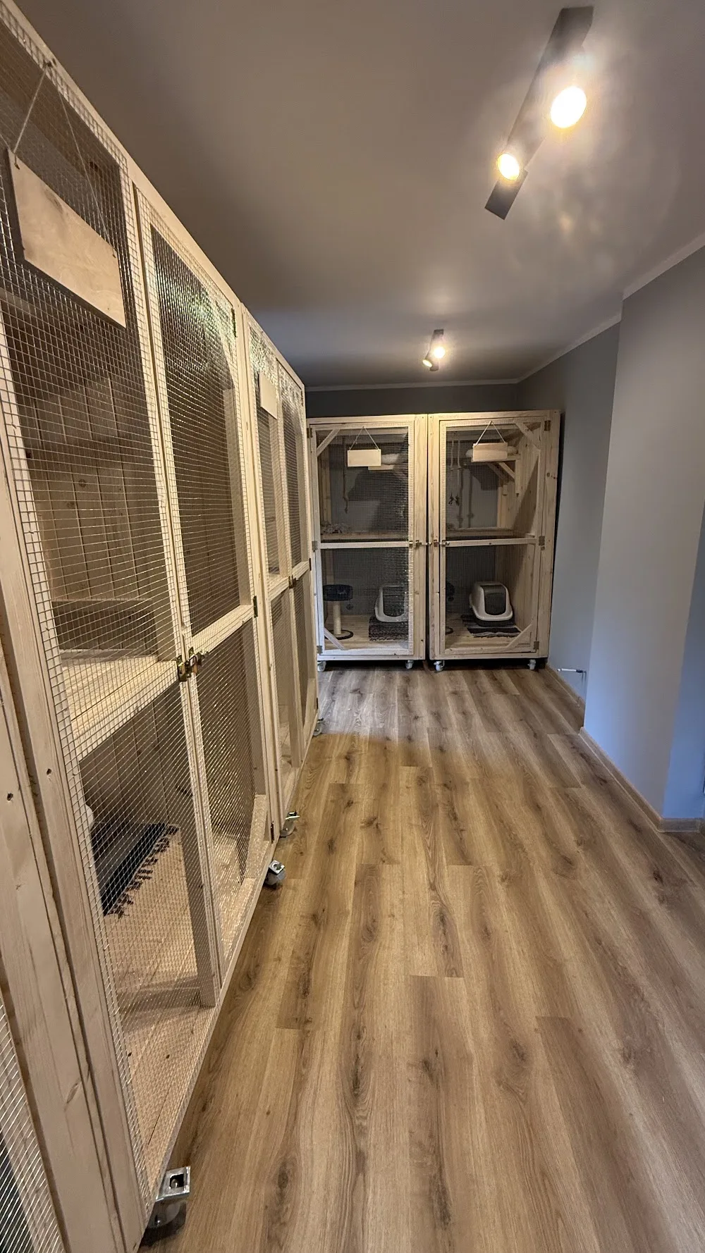 Hotelik dla kotów Karmelek i małych zwierząt. - Upper Silesia pet otel görseli 3