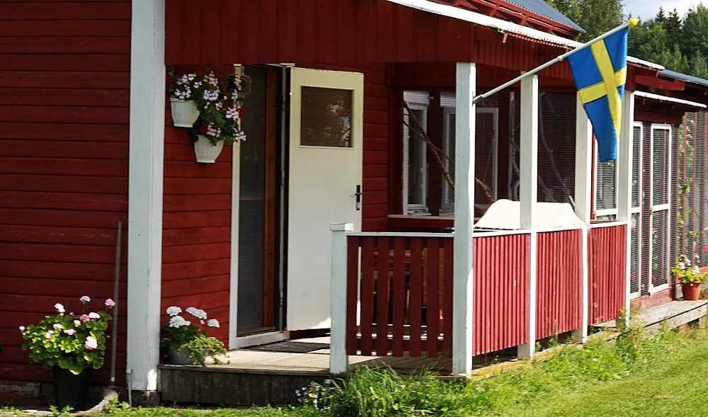 Isåkers kattpensionat - Uppsala pet otel
