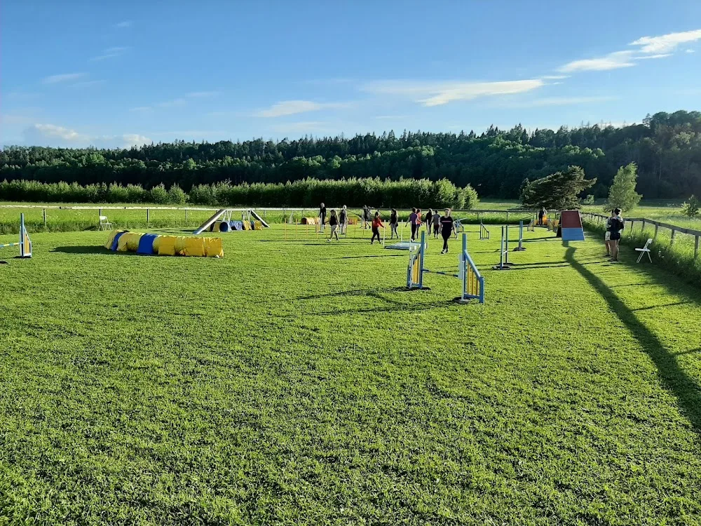 Uppsala Hundvänners Lokala Kennelklubb - Uppsala pet otel