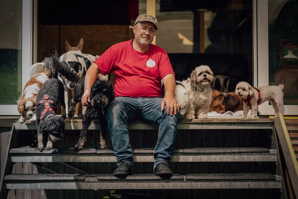 Hundebetreuung Nino GmbH - Uri pet otel görseli 3