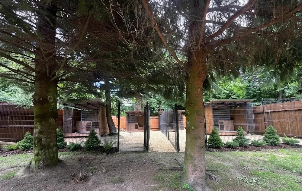 Hlídání psů U nás - Ústecký kraj pet otel