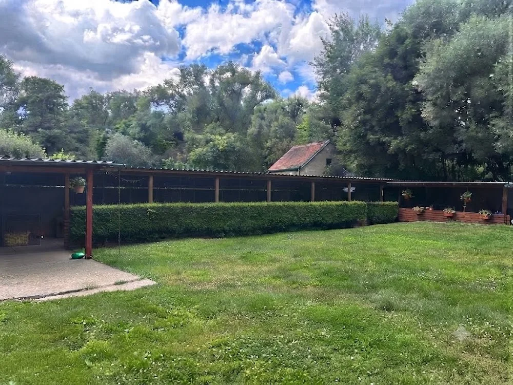 Hlídání psů U nás - Ústecký kraj pet otel görseli 3