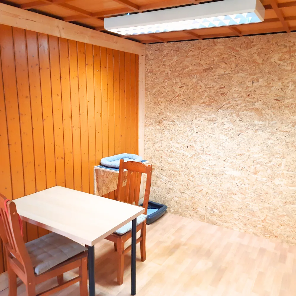 Katzenpension Pete - Ústecký kraj pet otel
