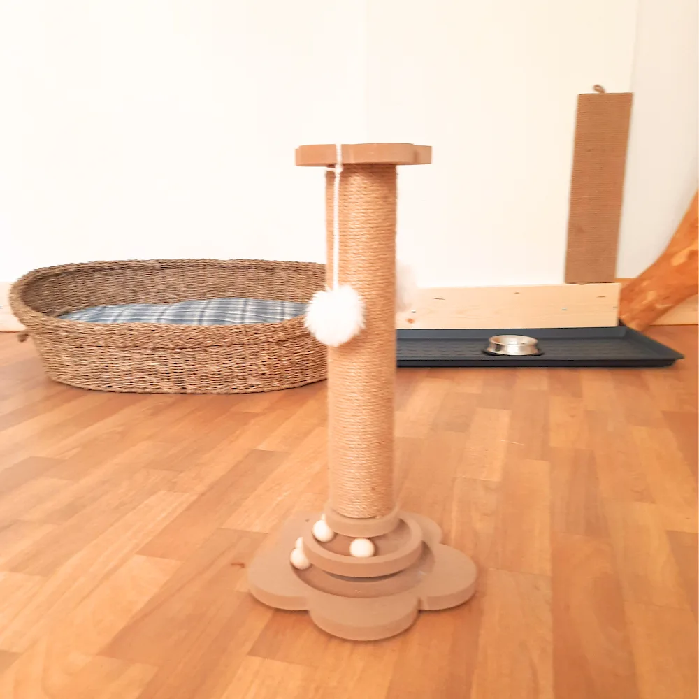 Katzenpension Pete - Ústecký kraj pet otel görseli 3