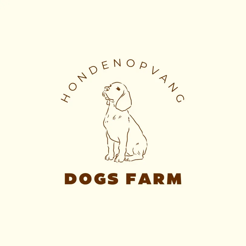Hondendagopvang Dogs Farm - Utrecht pet otel görseli 3