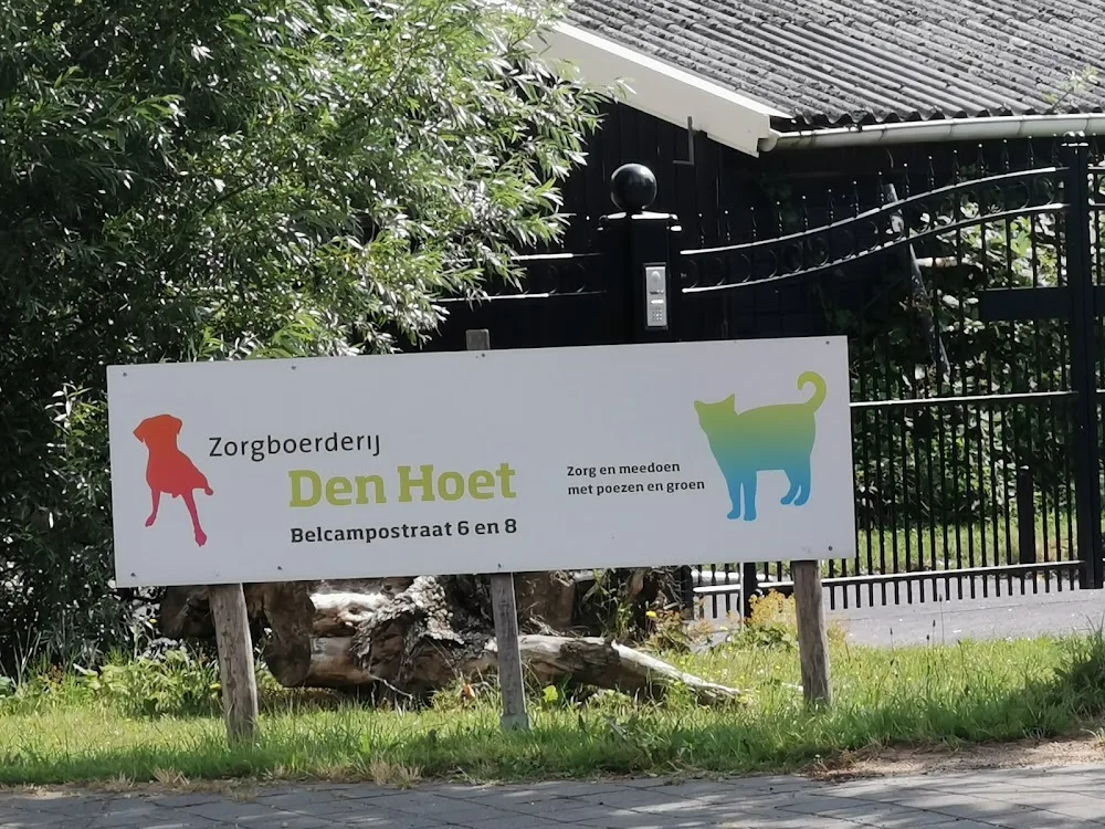 Kattenpension den Hoet - Utrecht pet otel