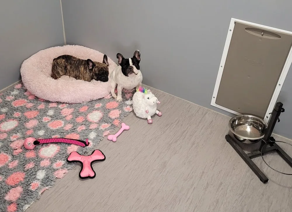 Koirakeskus ja koirahoitola Härkäpäät - Uusimaa pet otel görseli 3