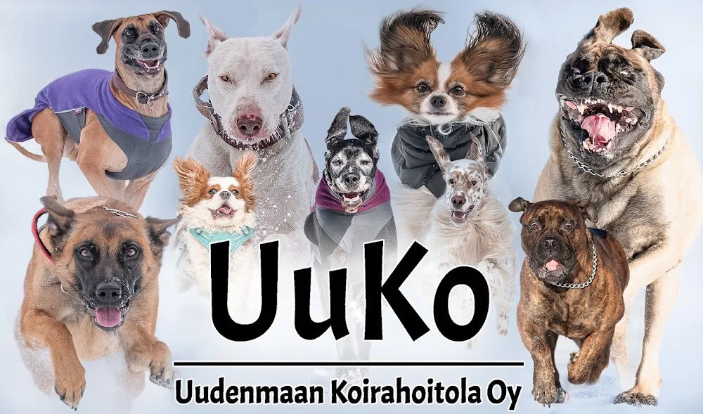 Uudenmaan koirahoitola Oy - Uusimaa pet otel